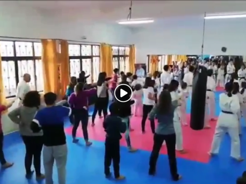 Participantes fazem experimentao de Karate Kyokushin (pormenor do vdeo)