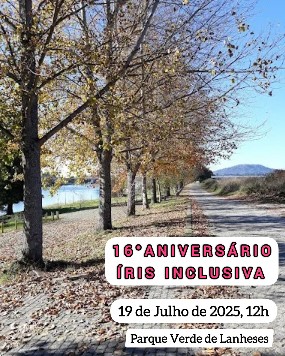 Leia mais sobre 16.º Aniversário da Íris Inclusiva